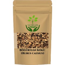 Tan Organik Böğürtlen (Rubus Fruticosus) Kökü 75 gr