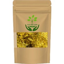 Tan Organik Mürver Çiçeği (Sambucus Nigra L) 1 kg