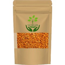 Tan Organik Süpürge Tohumu 225 gr