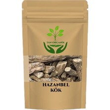 Tan Organik Hazanbel Kökü (Eğir Kök) 225 gr