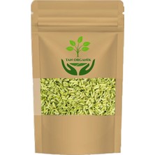 Tan Organik Rezene Tohum (Foeniculum Vulgare) 1 kg