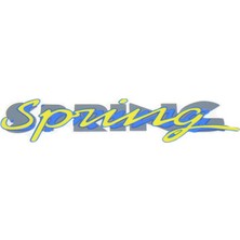 ERMAK Yazı "sprıng" Kağıt Renault R9  (1 Ad )