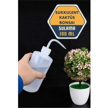 Renas Store Turk Sukkulent Kaktüs Bonsai Sulama Şişesi