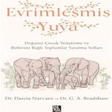 Renas Store Evrimleşmiş Yuva