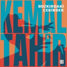 Renas Store Bozkırdaki Çekirdek