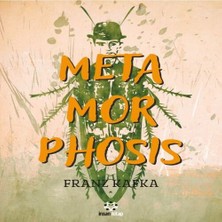 Renas Store Metamorphosis