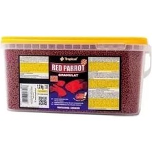 Tropical Red Parrot Gran Kovadan Bölme 250GR