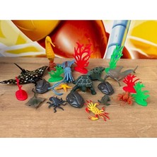 Scntoys 21 Parça Oyuncak Hayvan Seti Okyanus Canlıları Balık Fok Kapbumba Deniz Atı Deniz Hayvanları