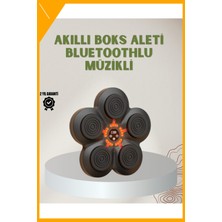 Esplendor Bluetoothlu Akıllı Boks Antrenman Cihazı Işıklı Hedefli Kardiyo ve Fitness Aleti