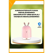 Esplendor 200 ml Ultrasonik Aroma Difüzör ve Hava Nemlendirici Gece Lambalı