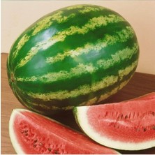 Sunagri Crimson Sweet Karpuz Meyve Tohumu 5 gr