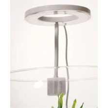 Orion Led OrionLed Goosneck Fanus & Nano Akvaryum Led Aydınlatma Oval BEYAZ