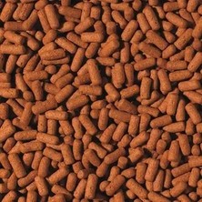 Tropical Cichlid&arowana Large Sticks 100GRAM Kovadan Bölme