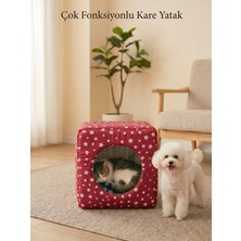 Patiderm Üç Fonksiyonlu Kedi Köpek Kapalı Kare Sünger Yatak - Kırmızı