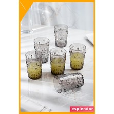 Esplendor Akrilik Kısa Bardak 6'lı 400ML Füme Su Meşrubat Bardağı Kırılmaz