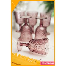 Esplendor Akrilik Kadeh ve Su Bardağı Seti 6 Parça 450ML Mürdüm Renk Kırılmaz