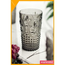 Esplendor Füme Akrilik Uzun Su Bardağı 750ML Büyük Boy Kırılmaz