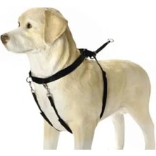 Die Grup Büyük Köpekler Için Eğitim ve Düzeltme Tasması, L