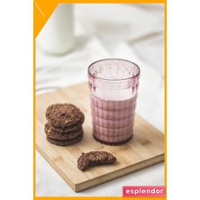 Esplendor Allegra Mürdüm Akrilik Bardak 6'lı Set | 400 ml | Su, Meşrubat, Sunum ve Kahve Yanı Için | Cam Değildir | Kırılmaya Dayanıklı