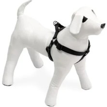 Die Grup Kilitli Göğüs Tasma, Xs Boy, 20-35 Cm, Siyah