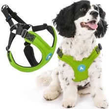 Die Grup Küçük Köpekler Için Kaçış Önleyici Neopren Koşum Takımı - Ayarlanabilir ve Rahat