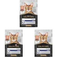 Die Grup Yetişkin Kediler Için Somonlu Yaş Kedi Maması, 85 Gr. (3 Paket)