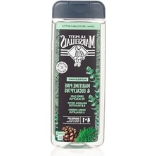 Die Grup Zencefil ve Akdeniz Selvisi Duş Jeli - 400 ml