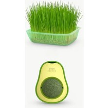 Die Grup Doğal Kedi Çimi Seti ve Avokado Catnip Oyuncağı, 2'li Paket