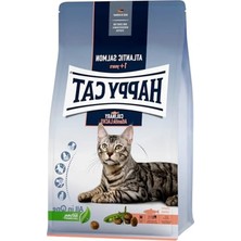 Die Grup Culinary Atlantik Lachs Balıklı Kedi Maması 10KG
