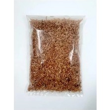 Die Grup Gammarus Karides Kaplumbağa Yemi, 25 gr