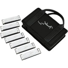Die Grup Çok Yönlü Blues Harmonica Seti