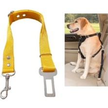 Die Grup Köpek ve Kedi Araç Emniyet Kemeri Tasması (Sarı)