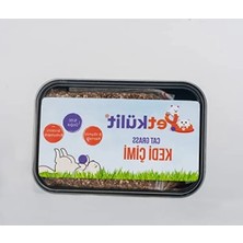 Die Grup Siyah Petkülit Kedi Çimi