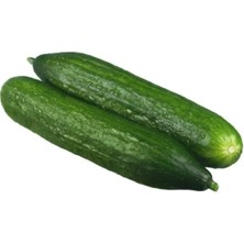 Die Grup Ithal Beith Alpha Salatalık Tohumu - 5 Gram