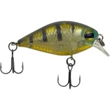 Die Grup 3,6 mm Kalınlık ve 3,8 gr Ağırlığında Moss Gill Balıkçılık Ürünü