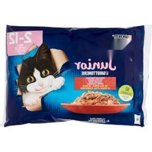 Die Grup Yavru Yaş Kedi Maması - 85G x 4'lü