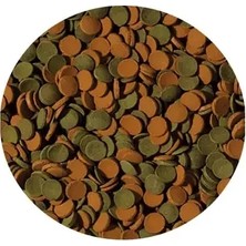 Tropical Mini Wafers Mix Kovadan Bölme 50GR