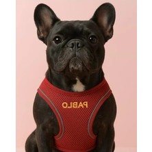 Die Grup Küçük ve Orta Irk Köpekler Için Renk Seçenekli Göğüs Tasması