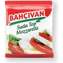 Montreal Bahçıvan Suda Top Mozzarella 125 gr