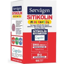 Sorvagen Smart Stikolin Mini Kapsül Dha Omega 3 (Tekli Paket) ve B12 60 Yumuşak Kapsül