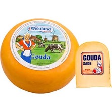 Montreal Trakya Çiftliği Sade Gouda Yarım Yağlı Taze Peynir kg