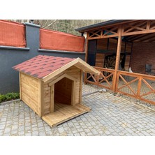 Köpek Kulübesi
