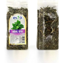Die Grup Poşet Oğul Otu 40 Gr.