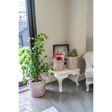 Özssay Kulplu Yuvarlak Düzenleyici Çok Amaçlı Kolay Taşınabilen Organizer Keçe Sepet (Maxi) 03655