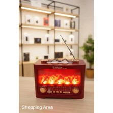 Shopping Area Goldsilver GS-1100 Radyo Bluetooth USB Mp3 Fm 4 Bant Radyo Müzik Player