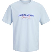 Jack & Jones Jorcassıs Erkek Tişört Bisiklet Yaka Kısa Kollu Rahat Günlük