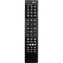 LCD LED Kumanda Vestel Seg Regal Loewe Fınlux Hı Level Watson 313E