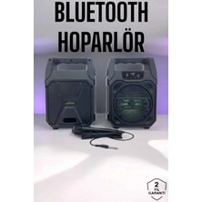 Die Grup 6.5 Inç Kablosuz Hoparlör Bluetooth Bağlantılı Yüksek Ses Kaliteli