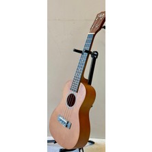 Puka Concert Ukulele
