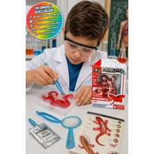 Toyfest Slimy Lab Dissect It Mini Semender Laboratuvarı Stem Deney Seti 6+ Anatomi Oyuncak Eğitici